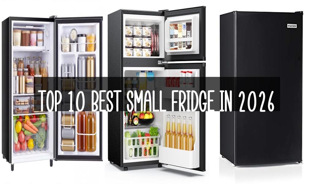 Top 10 Best Small Fridge in 2026